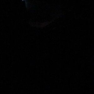 Meet your Posher, Tommy